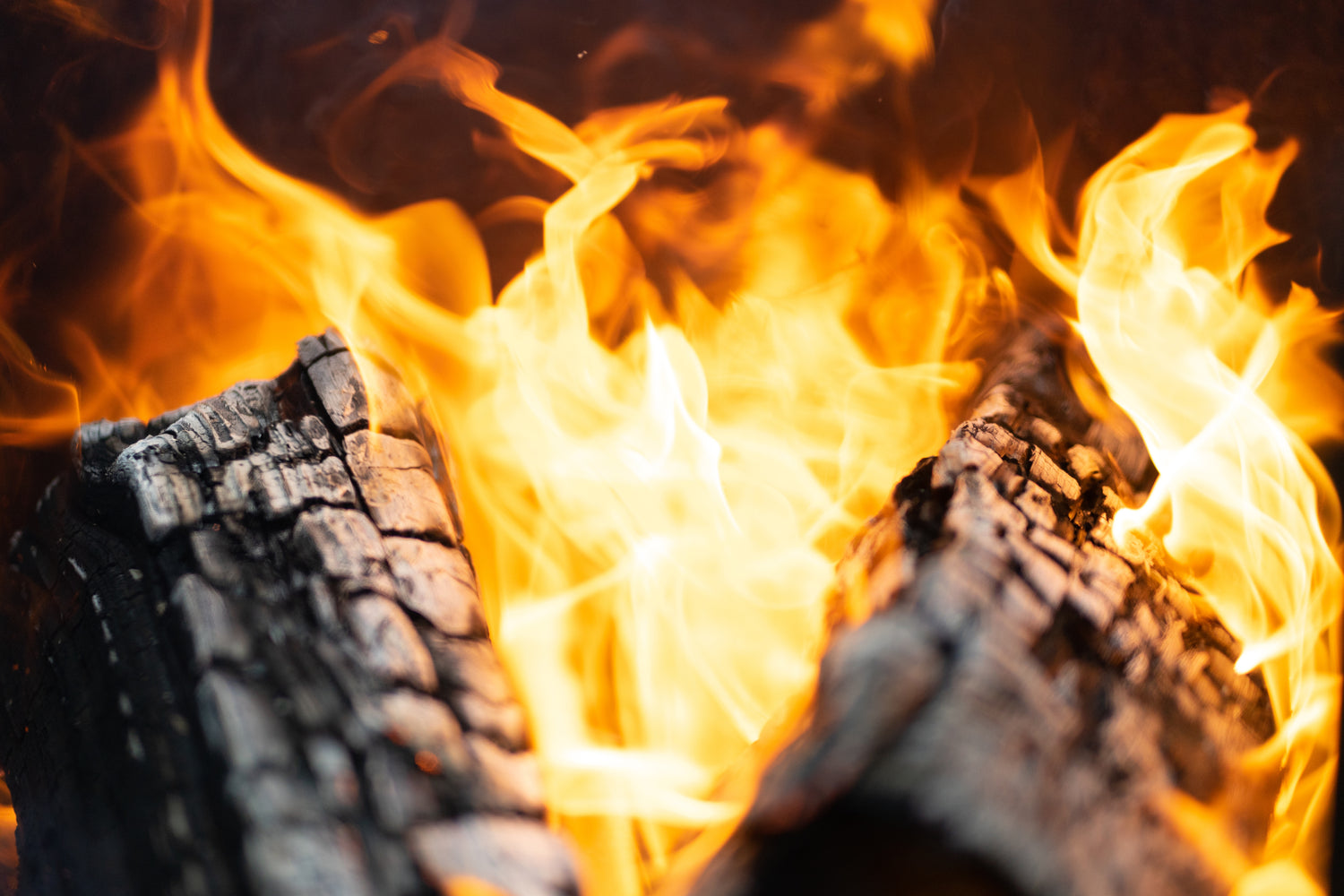 fire and logs