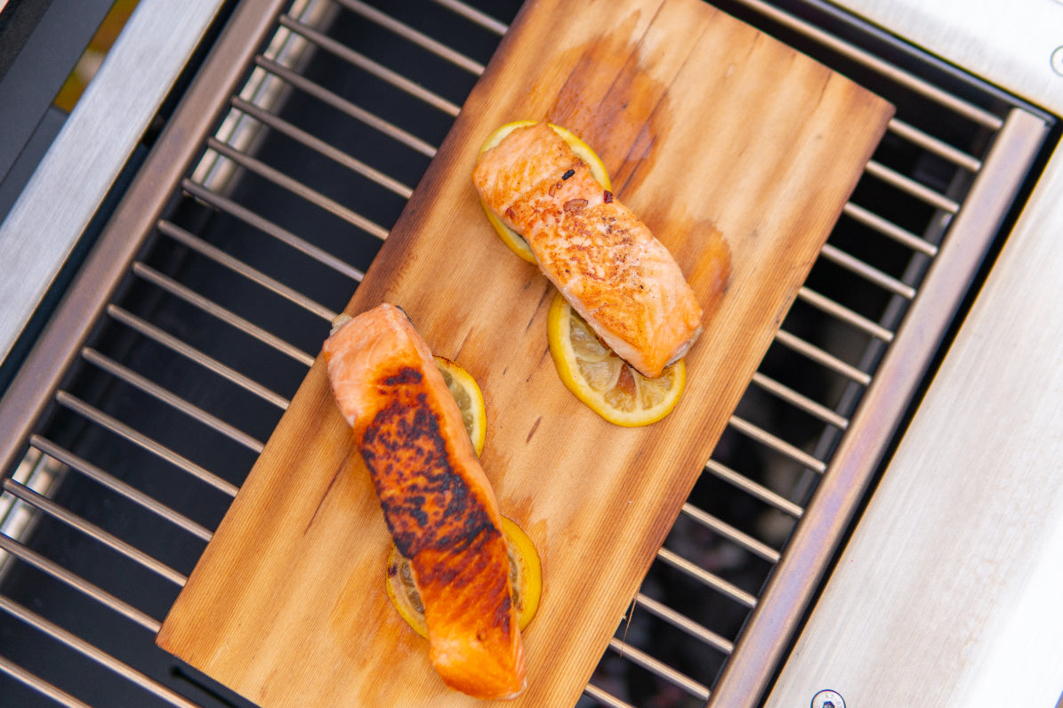 Hestia 300 Heat and Grill from hestia concepts
