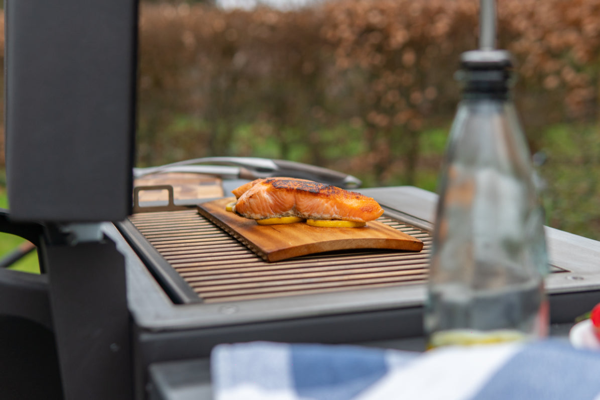 Hestia 300 Heat and Grill from hestia concepts